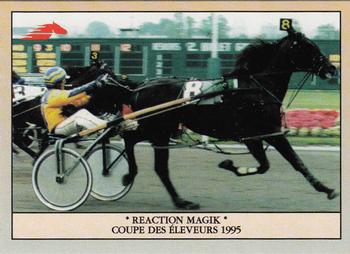 1996 Hippodrome de Montreal #37 Reaction Magik - Coupe des Éleveurs 1995 Front